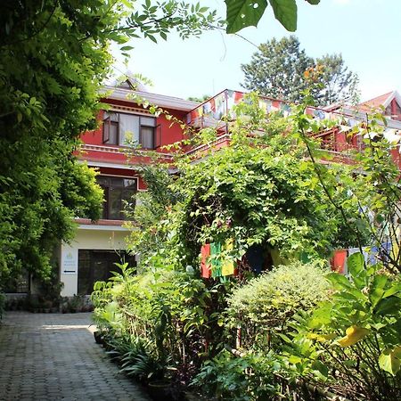 Rokpa Guest House Katmandu Dış mekan fotoğraf