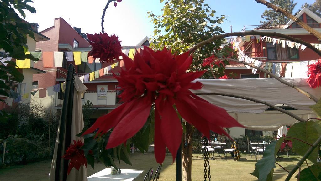 Rokpa Guest House Katmandu Dış mekan fotoğraf